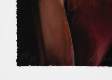 Load image into Gallery viewer, Danielle Orchard - Tights