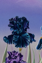 Load image into Gallery viewer, Emily Mae Smith - Poetry (Toy in Blood)