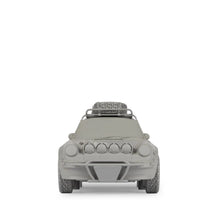 Load image into Gallery viewer, Daniel Arsham - Eroded Safari