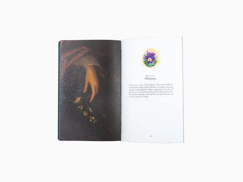 Jean-Michel Othoniel - The Secret Language of Flowers, the Isabella Stewart Gardner Museum