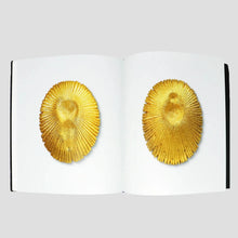 Load image into Gallery viewer, Johan Creten - I Peccati