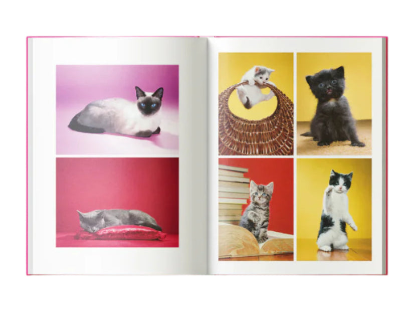 Maurizio Cattelan - Chromotherapia: Feel-Good Color Photography