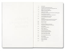 Load image into Gallery viewer, Painting Photography Painting: Selected Essays
