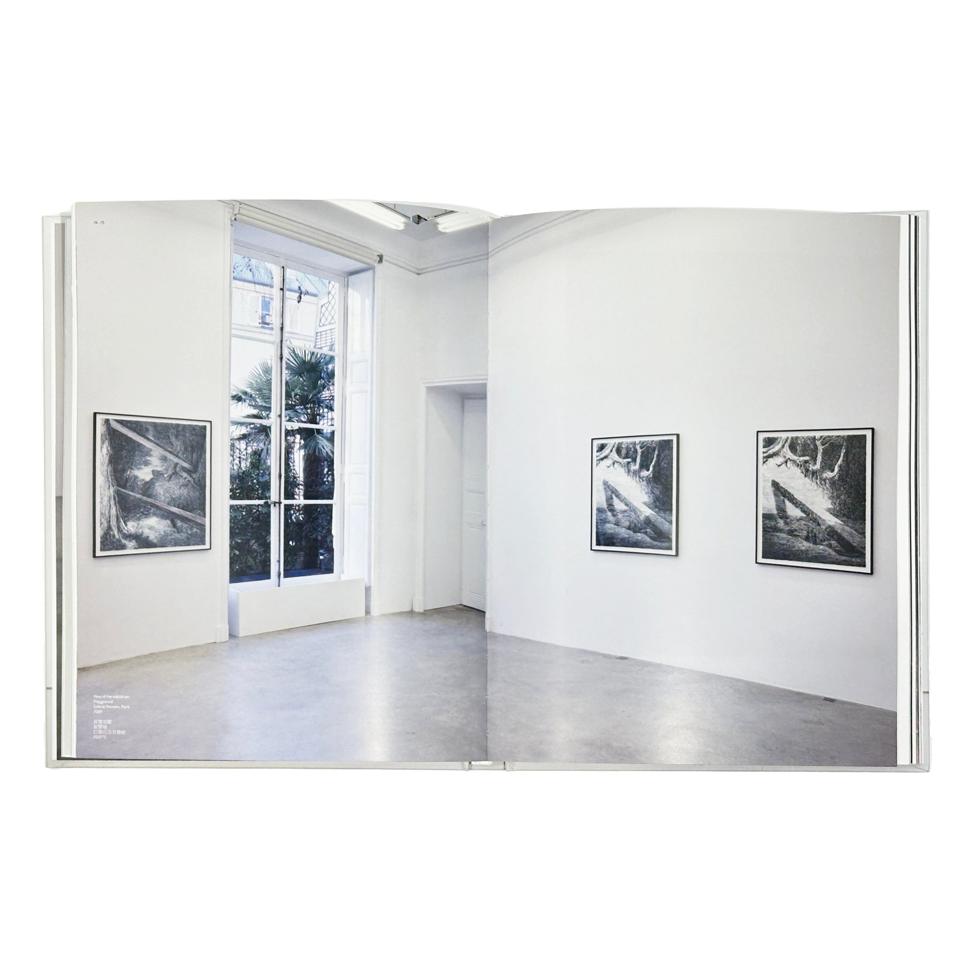 Daniel Arsham - Self Titled Perrotin Monograph