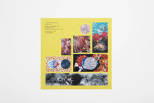 Load image into Gallery viewer, James Rosenquist - Exhibition Catalog (Kasmin)
