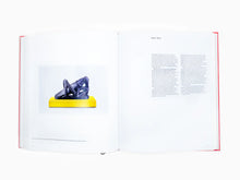 Load image into Gallery viewer, Johan Creten - Jouer avec le Feu