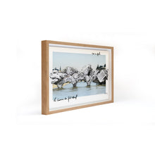 Load image into Gallery viewer, JR - La Caverne du Pont Neuf, vue en aval, Paris, France, 2026