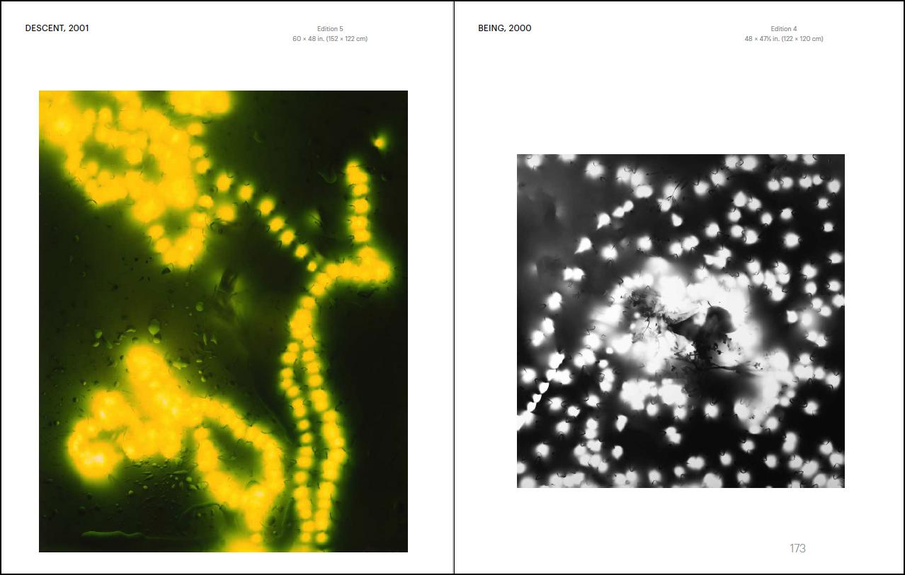 Michael Flomen - Photograms and Photographs 2020-1970