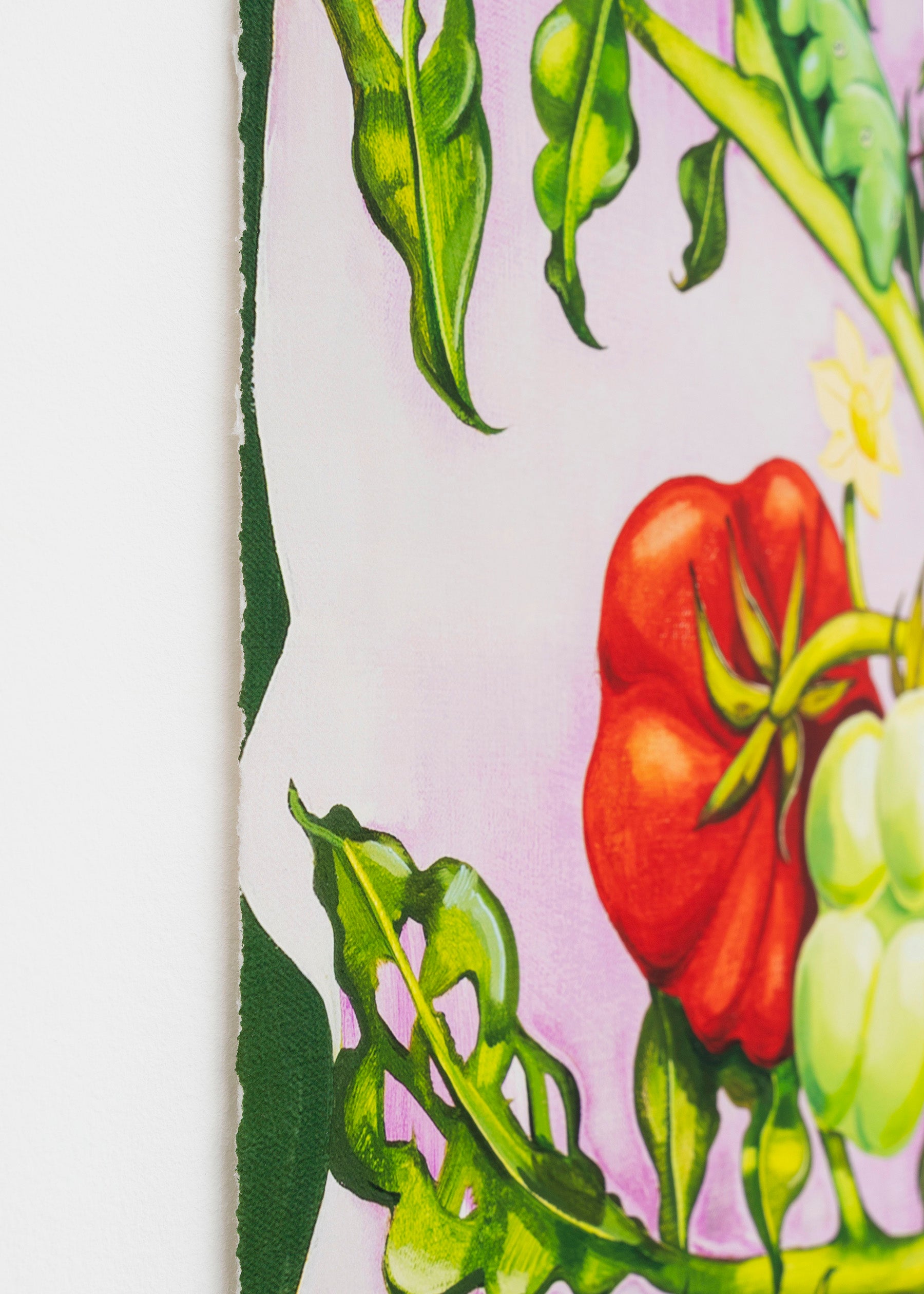 Nikki Maloof - Tomato Plant