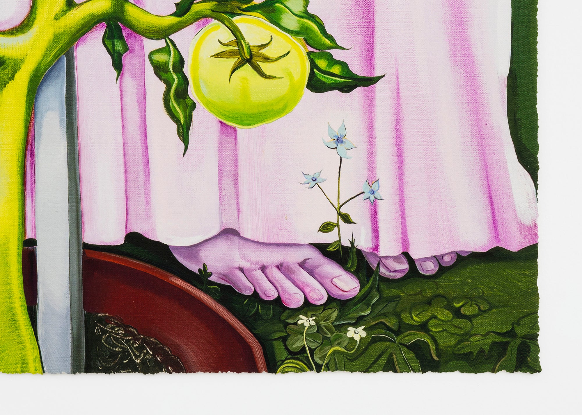 Nikki Maloof - Tomato Plant