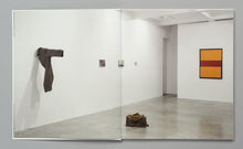 Load image into Gallery viewer, The Gap: Selected Art from Belgium (feat. Pieter Vermeersch