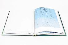 Load image into Gallery viewer, Hans Hartung - A Constant Storm