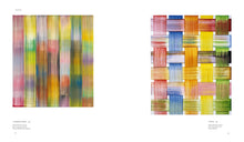 Load image into Gallery viewer, Bernard Frize - Self Titled Monograph (by David Rhodes)