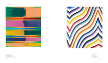 Load image into Gallery viewer, Bernard Frize - Self Titled Monograph (by David Rhodes)