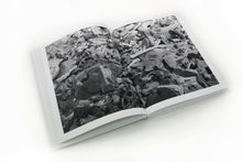 Load image into Gallery viewer, Daniel Arsham - Fictional Archeology (Selenite Holding Hands)