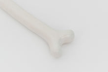 Load image into Gallery viewer, Gabriel Rico - Yardstick I (Bone), 2019