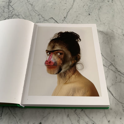 Bharti Kher - Misdemeanours