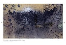 Load image into Gallery viewer, Hans Hartung - Hans Hartung et l'abstraction