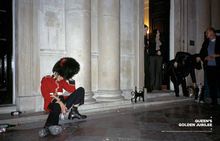 Load image into Gallery viewer, Gianni Motti - Self Titled Perrotin Monograph