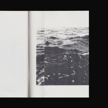 Load image into Gallery viewer, Simryn Gill - Oak Lane