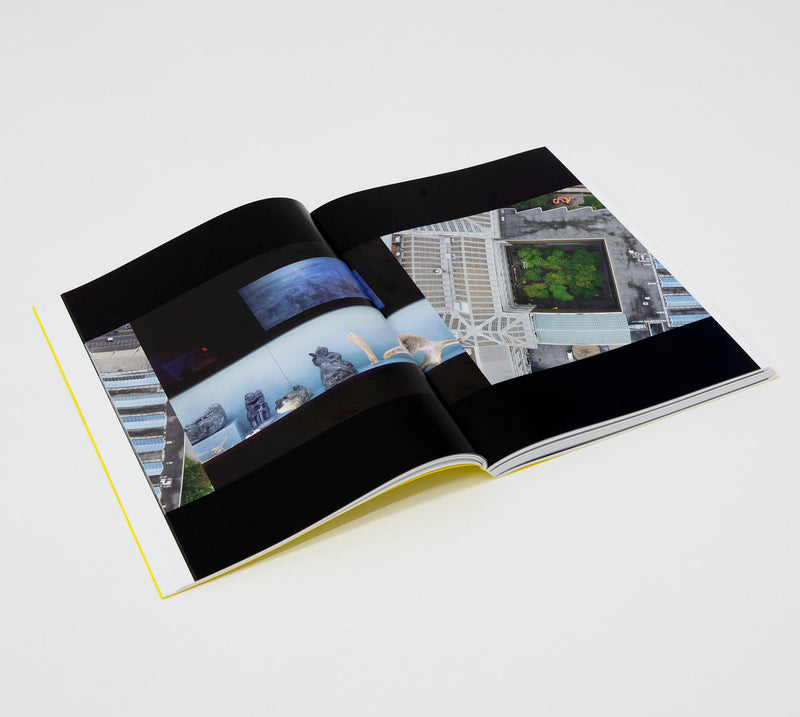 Carnegie International, 57th Edition: The Dispatch