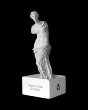 Load image into Gallery viewer, Daniel Arsham - Eroded Venus de Milo