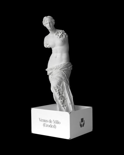 Daniel Arsham - Eroded Venus de Milo
