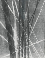 Load image into Gallery viewer, Hans Hartung - rmm 282 - L 1966-40 / HANS ARP, 1966