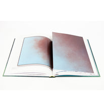 Load image into Gallery viewer, Hans Hartung - A Constant Storm