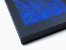 Load image into Gallery viewer, John Henderson - Reversion