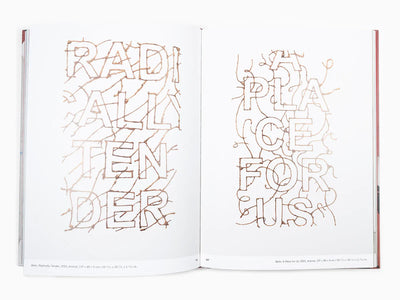 Iván Argote - Here Together (Perrotin Monograph)