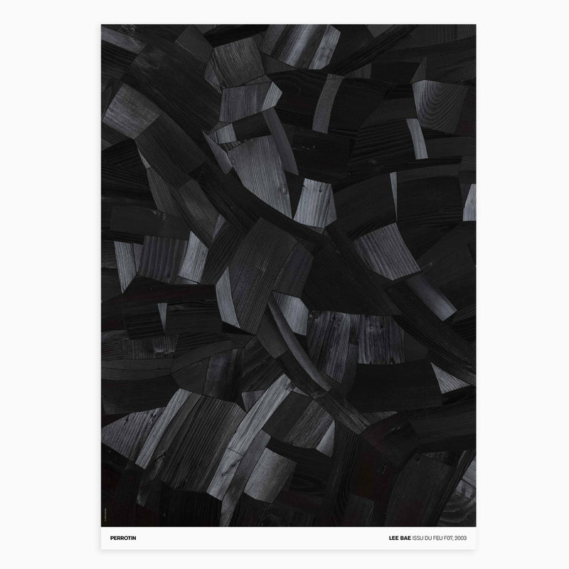 Lee Bae - Issu du Feu F07, 2003 (Standard)