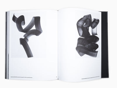 Lee Bae - Self Titled Perrotin Monograph