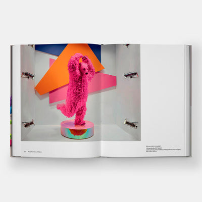 Paola Pivi - Self Titled Monograph edited by Justine Ludwig