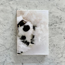 Load image into Gallery viewer, Paola Pivi - Baby Bear Journal (White)
