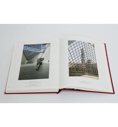 Wim Delvoye - Introspective