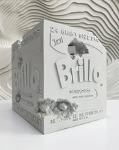 Load image into Gallery viewer, Daniel Arsham - Eroded Brillo Box (Blue)
