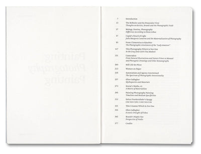 Painting Photography Painting: Selected Essays