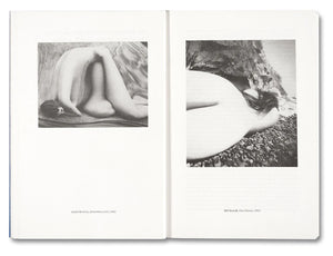Painting Photography Painting: Selected Essays