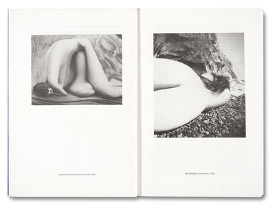 Painting Photography Painting: Selected Essays