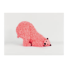 Load image into Gallery viewer, Paola Pivi - A beautiful photo of &quot;?&quot;, 2023
