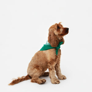 Perrotin Dog Bandana