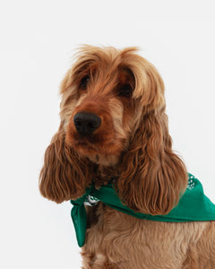 Perrotin Dog Bandana