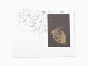 Sophie Calle - Neither Give Nor Throw Away