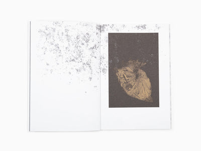 Sophie Calle - Neither Give Nor Throw Away