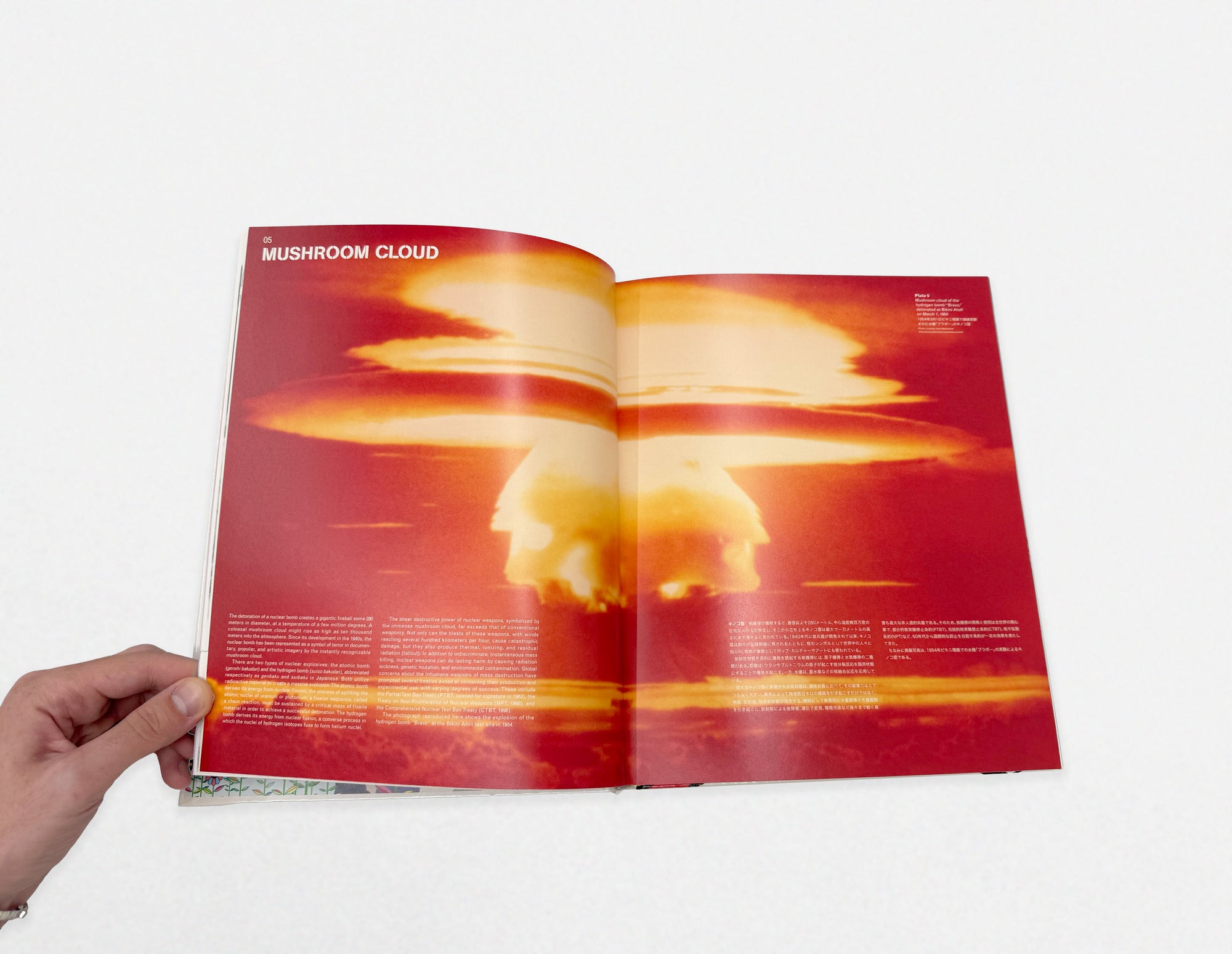 Takashi Murakami - Little Boy: The Arts of Japan's Exploding Subculture