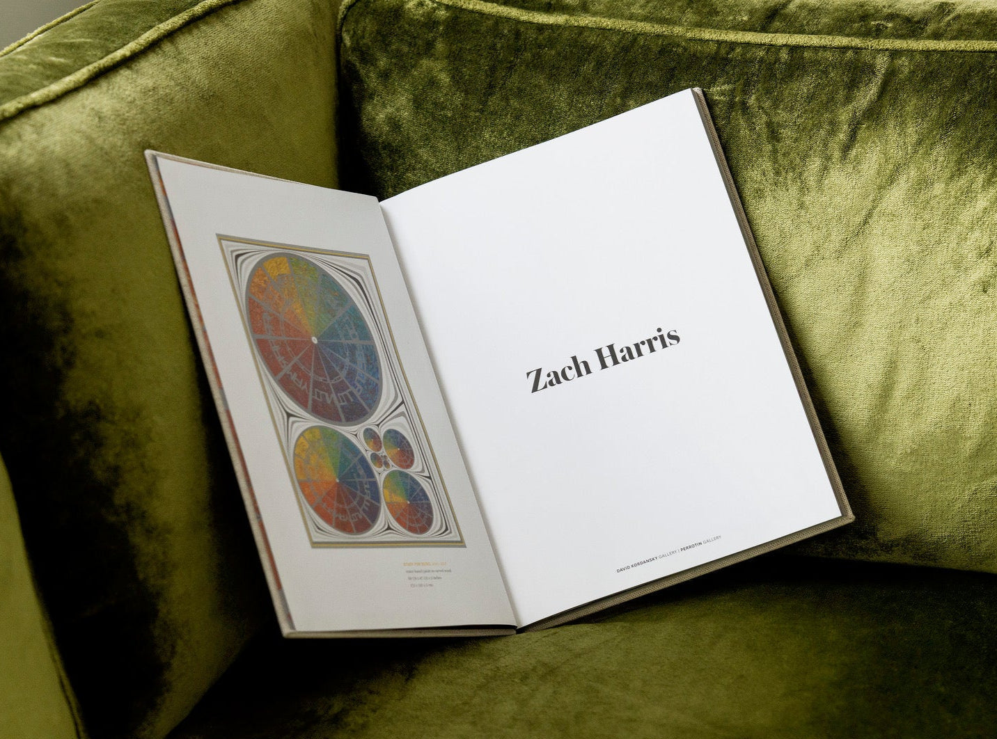 Zach Harris - Self Titled Perrotin Catalog