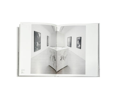 Daniel Arsham - Self Titled Perrotin Monograph