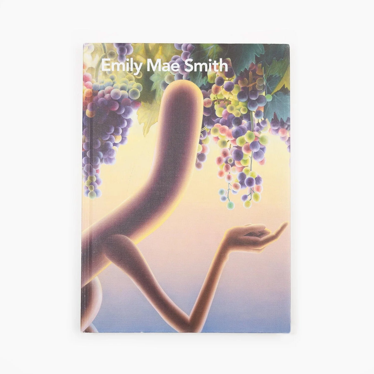 Emily Mae Smith - Self Titled Monograph – Perrotin New York