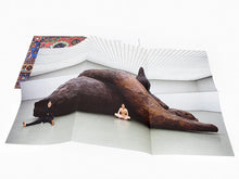 Load image into Gallery viewer, Gelitin - Vorm  Fellows  Attitude
